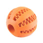 Dog Toy Ball Nontoxic Bite Resistant Interactive Toy Ball for Pet Puppy Food Feeder Chew Tooth Cleaning Durable Small Dogs Toys