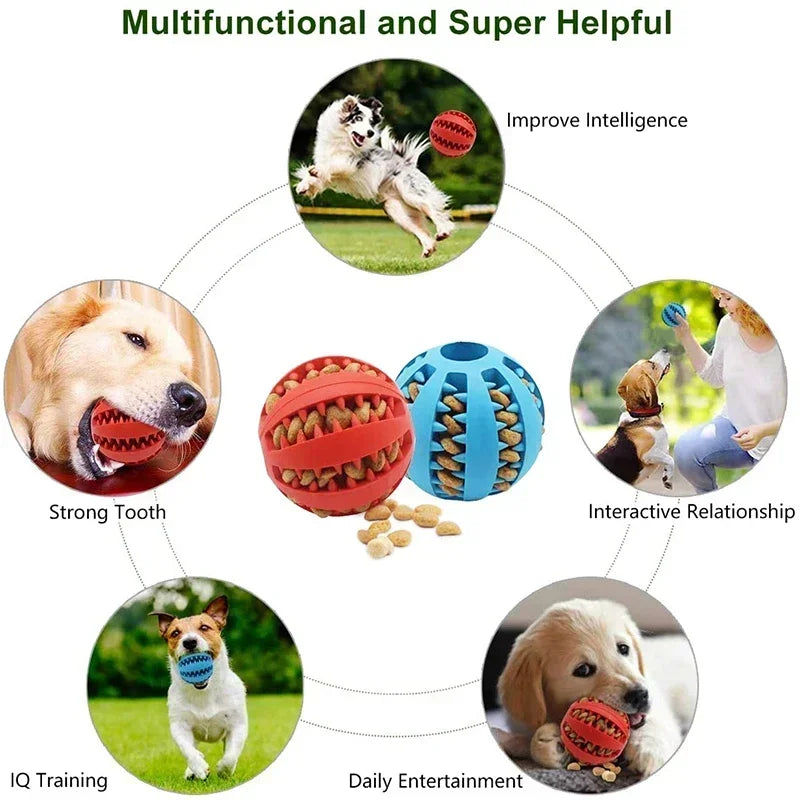 Dog Toy Ball Nontoxic Bite Resistant Interactive Toy Ball for Pet Puppy Food Feeder Chew Tooth Cleaning Durable Small Dogs Toys