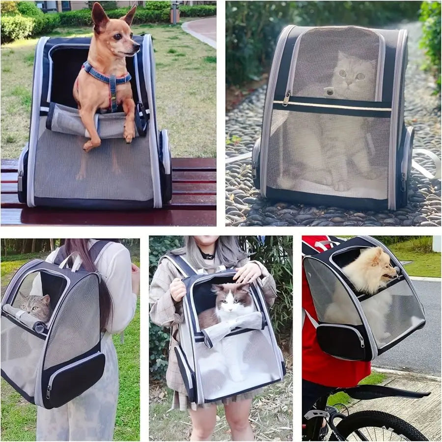 Innovative Traveler Bubble Backpack