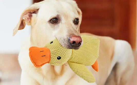 The Mellow Dog Calming Duck
